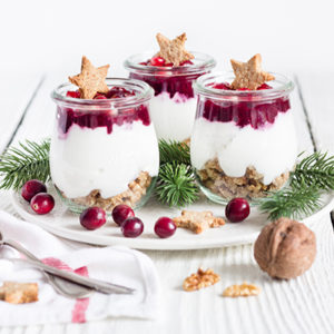 Cranberry-Kokos-Dessert