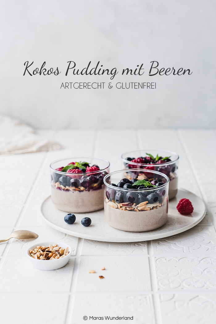 Artgerechter und glutenfreier Kokos-Pudding mit Kardamom und Zimt aus dem Buch 